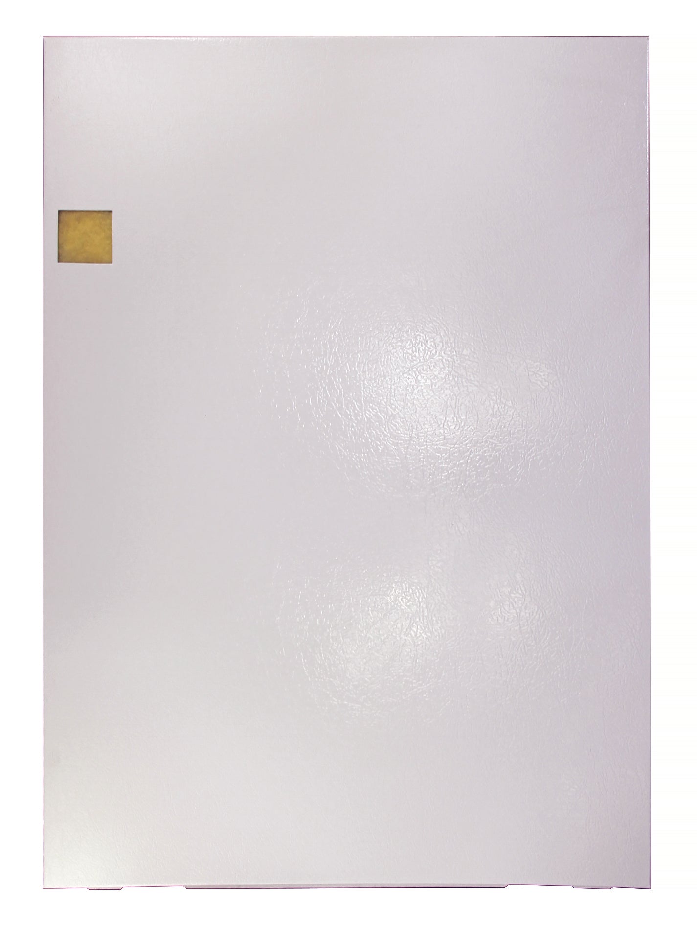 E2 SERIES FURNACE DOOR W/INSULATION - WHITE