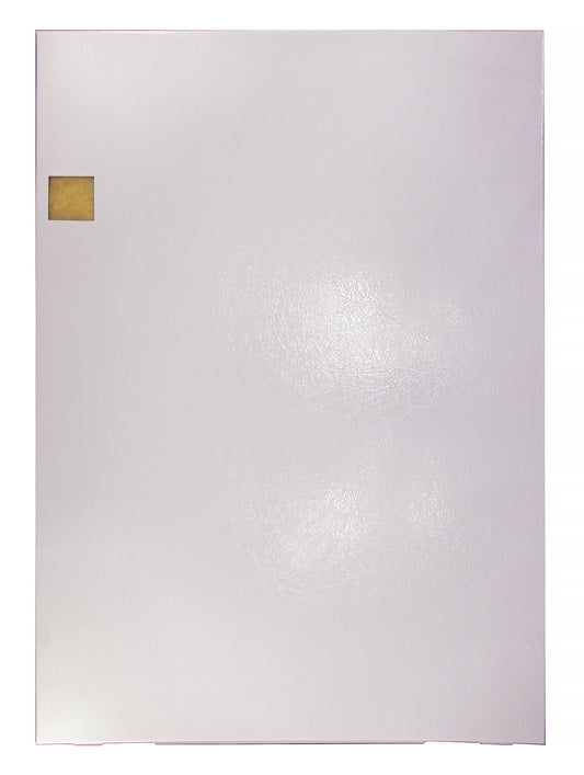 E2 SERIES FURNACE DOOR W/INSULATION - WHITE