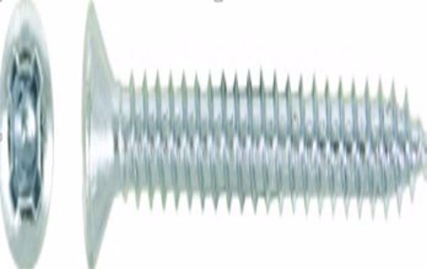 SCREW FOR ROSETTE - WHITE - EACH